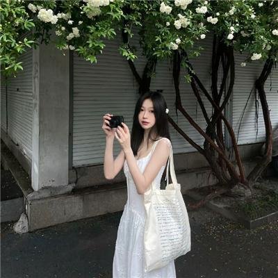 梦想的日子海报